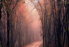  梅德韦杰夫儿子被驱逐的原因 